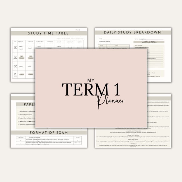 Term 1 Grade 12 study planner 2026