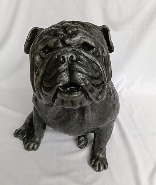 Montgomery the Bulldog