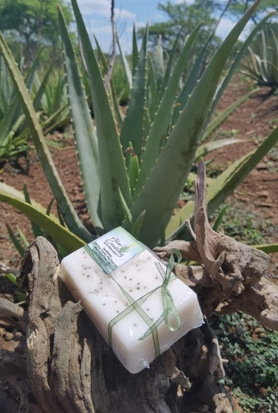 Aloe Vera Soap bar