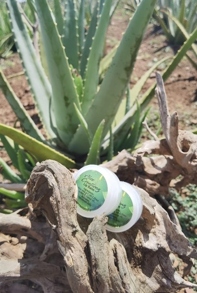 Aloe vera gel lip balm