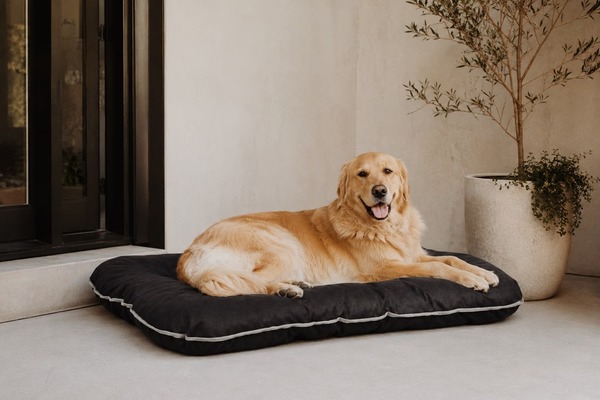 Wagit luxury dingy bed grey trim