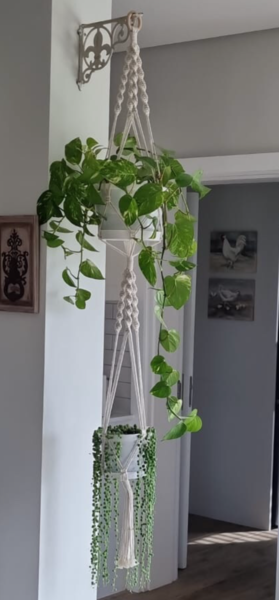 Macramé Double Plant Hanger