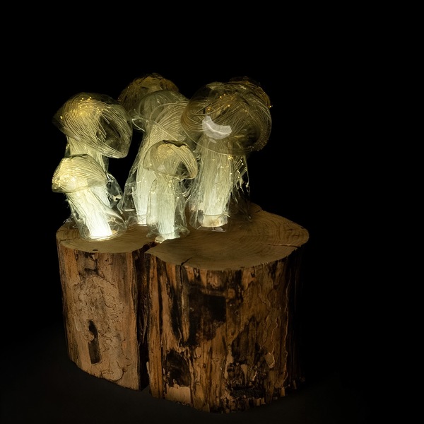 Mycoremediation XXI - Light Sculpture