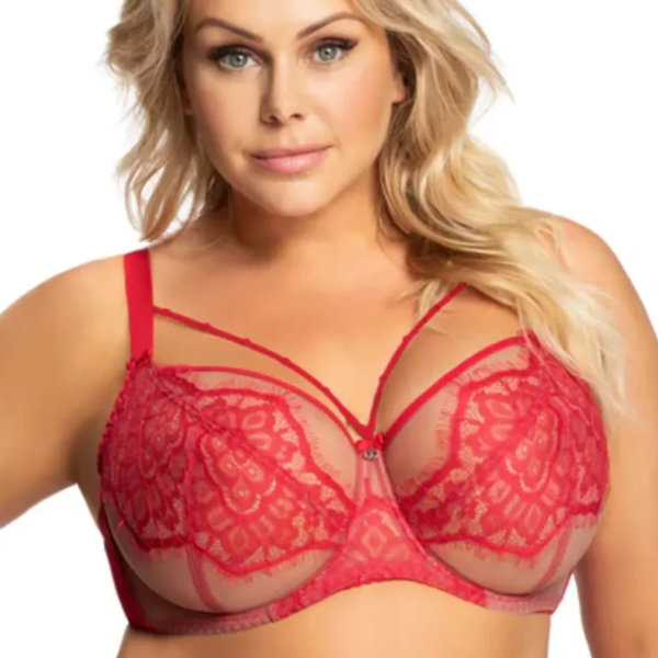 Sienna Red Harness Lace  Bra