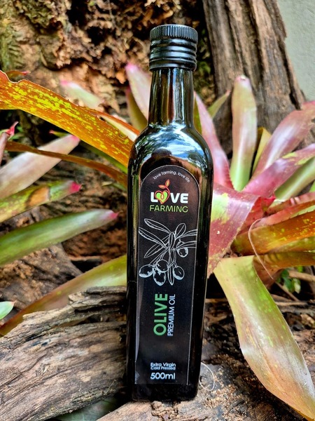 Extra Virgin Cold pressed Olive Oil