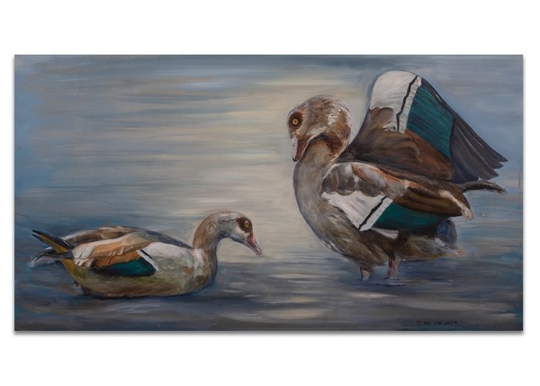 Canvas print - Egyptian Geese (P95)