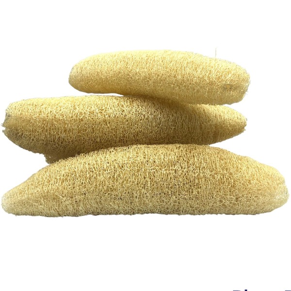 Naturally-Grown Loofah Sponges