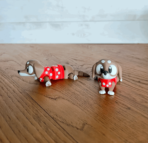 Dachshund