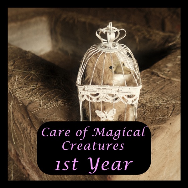 Care of Magical Creatures - First Year