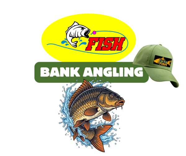 FISH - Bait, Tackle and Dips
