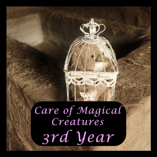 Care of Magical Creatures - Third year