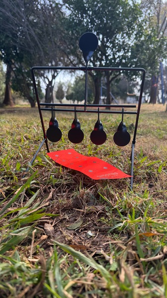 Self Resetting Steel Targets