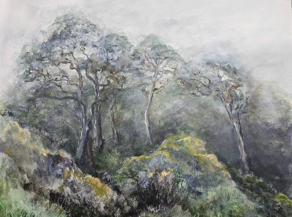277. Knysna forest (90 x 70cm)