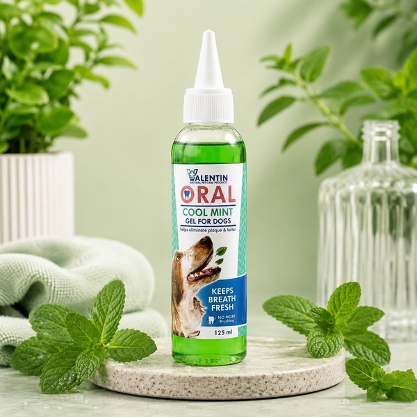 Valentin oral cool mint gel