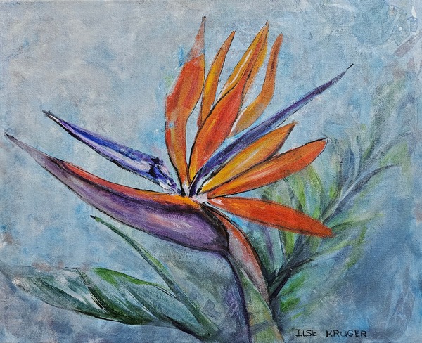 298. Strelitzia Links (40 x 50cm)