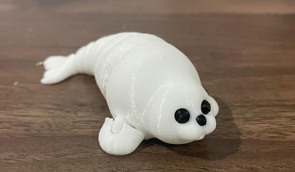Sealio Rob Fidget