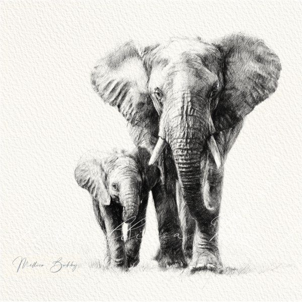 Elephant Mum & Calf