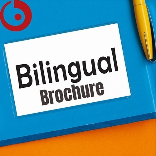 Bilingual Brochure