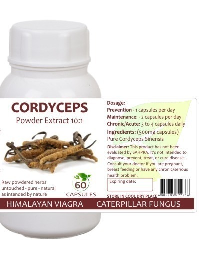 Cordyceps Extract 10:1 (Capsules)