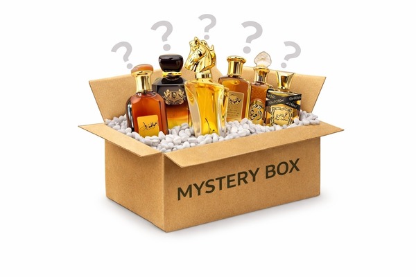 Mystery Box 10 | Dubai Generic Perfume Collection | 10 x 100ml