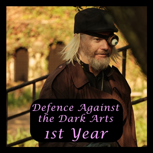 Defence Against the Dark Arts - First Year