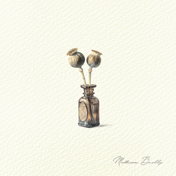 Poppy Seed Specimen | Collected Curiosities Art Print