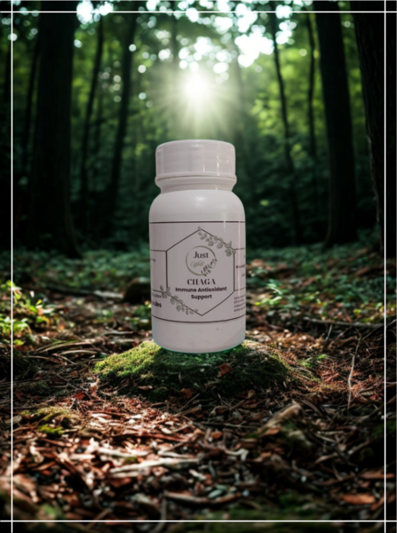 Chaga (60 Caps)