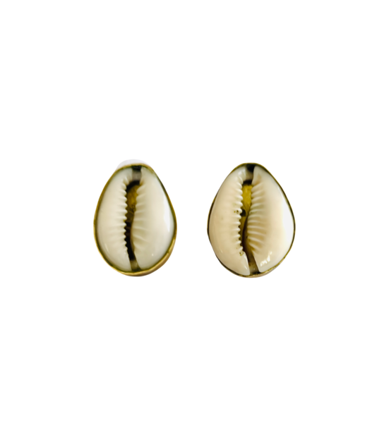 Seashell Earrings