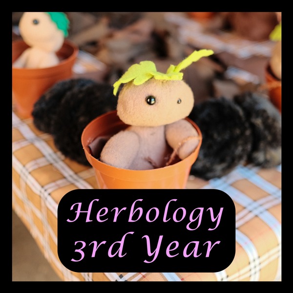 Herbology Class - Third Year