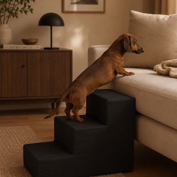 Doggy aid three steps