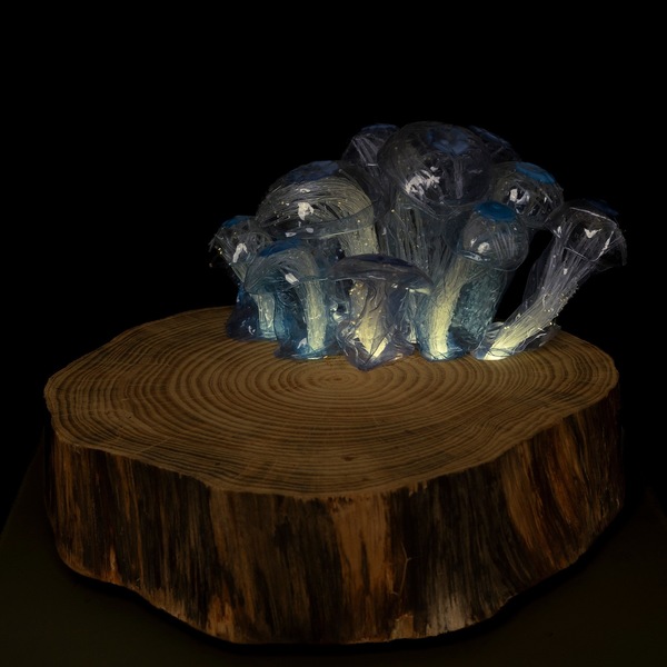 Mycoremediation - Light sculpture