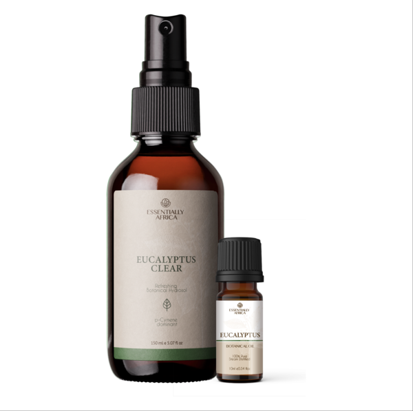 Eucalyptus Ritual Duo