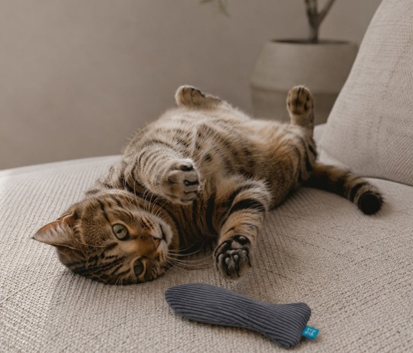 Feline Flair catnip kicker toy - Fish