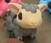 Timmy the Sheep