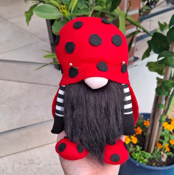Ladybird Gnome