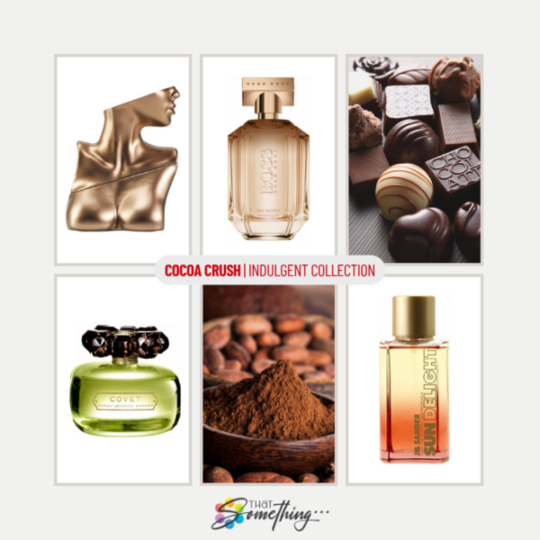 Cocoa Crush | Indulgent Sample Set