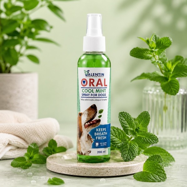 Valentin oral cool mint spray
