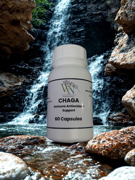 Chaga