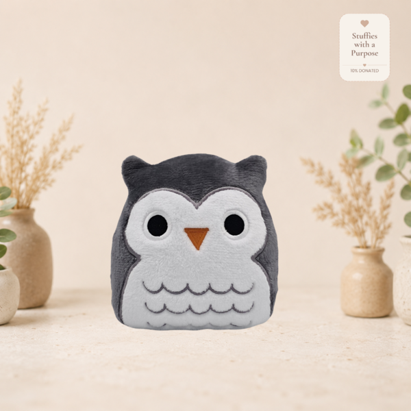 Midnight the Owl Squishy