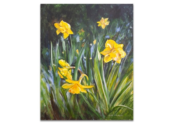 134.  Yellow daffodils (61x 76cm)