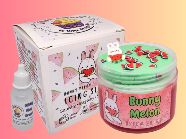 Bulk Novelty Gift Box Slime Bundle (Bunny Melon) – Wholesale