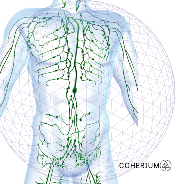 Restore™ LYMPH FLOW & DRAINAGE