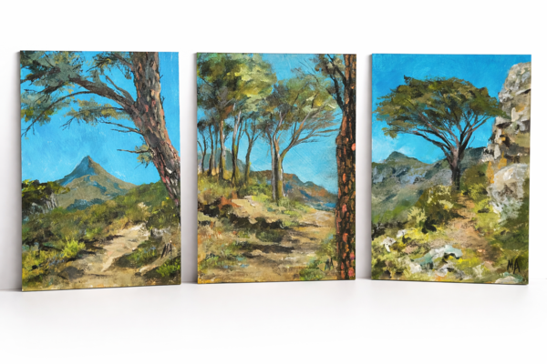 Table Mountain Walks: A series of collectible small works