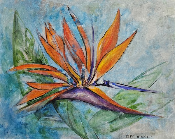 297. Strelitzia Regs (40 x50cm)