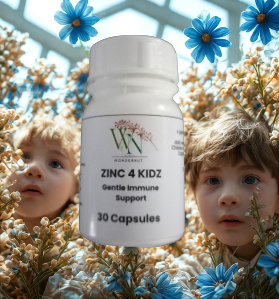 Zinc Kids
