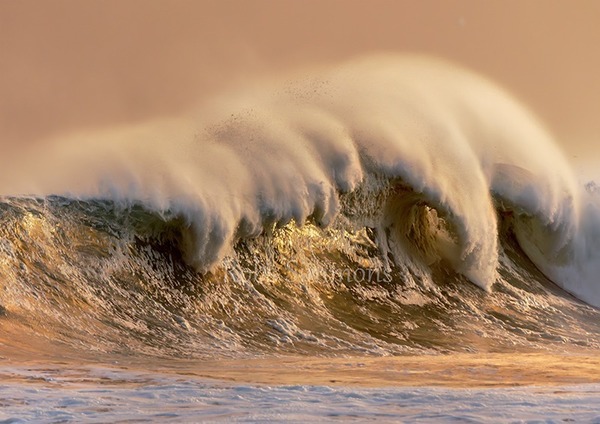 Golden Notes of a Wave - Photograph printed on Aluminium - 1 of 10