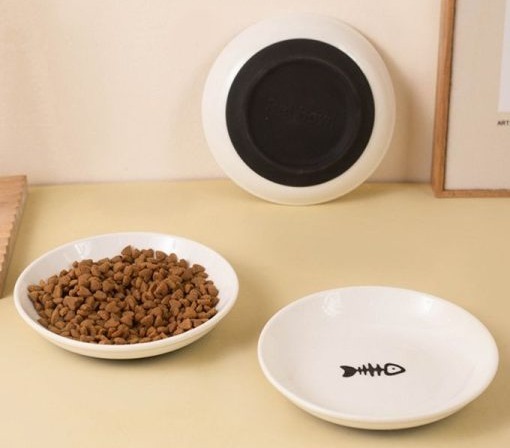 Kitty Plate