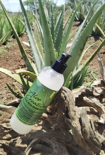 Aloe vera gel shampoo