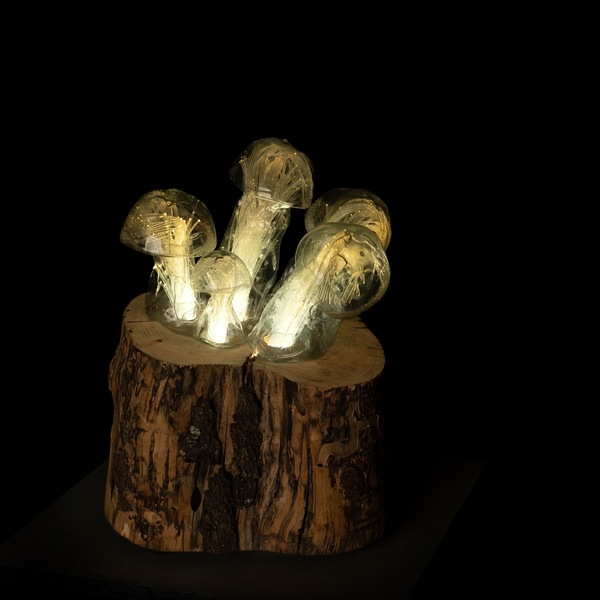 Mycoremediation XVII - Light sculpture