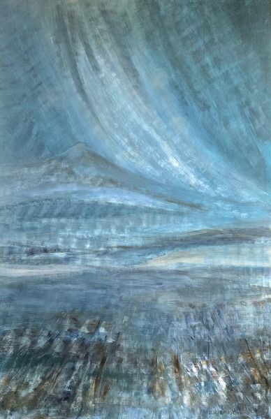 304.  Sky map ( 225cm x 150 cm)